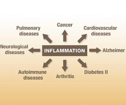 inflammation in the body