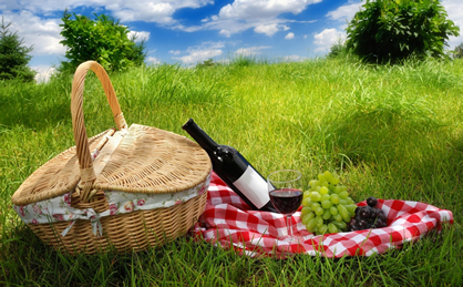 Date Idea, Picnic