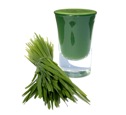 Ease a Hangover with Wheatgrass