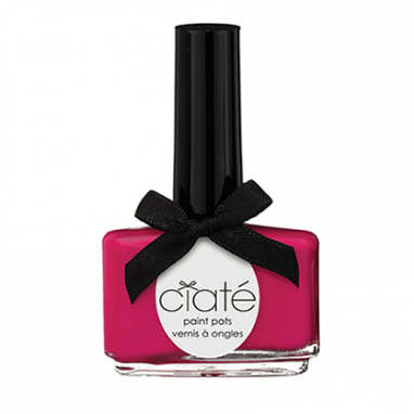 Fuchsia Paint Pot