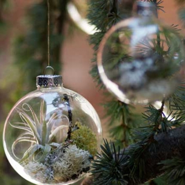 Forest Floor Ornament