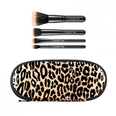 Makeup Brush Kit